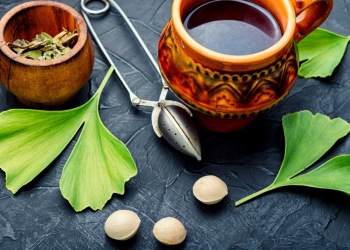 La cure de Ginkgo biloba contre les jambes lourdes : est-ce efficace ?