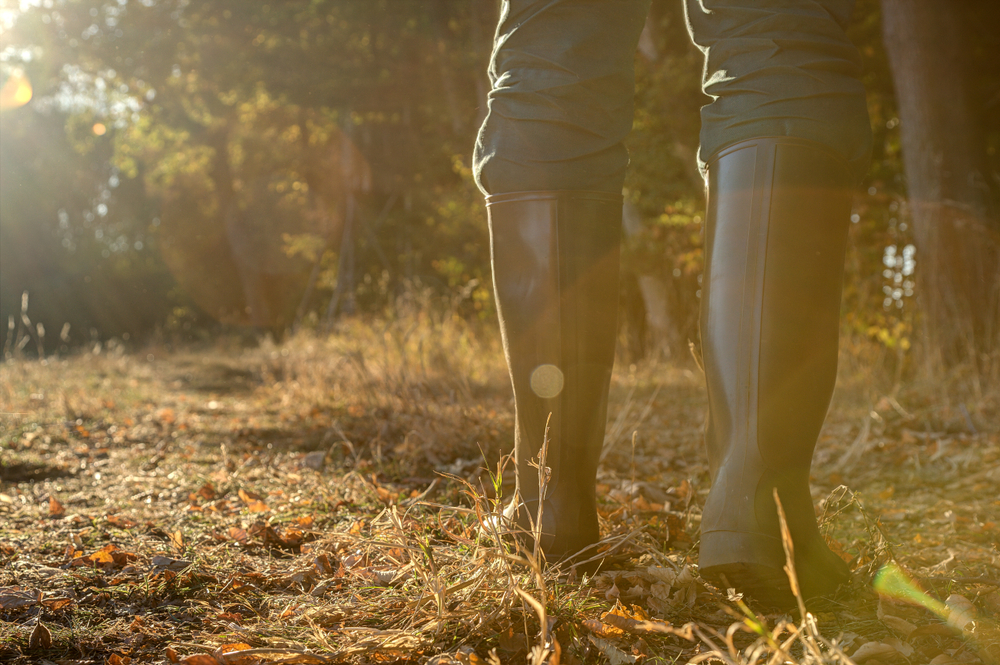 chasse-bottes