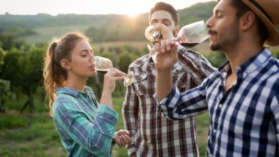 degustation-vin-jeune