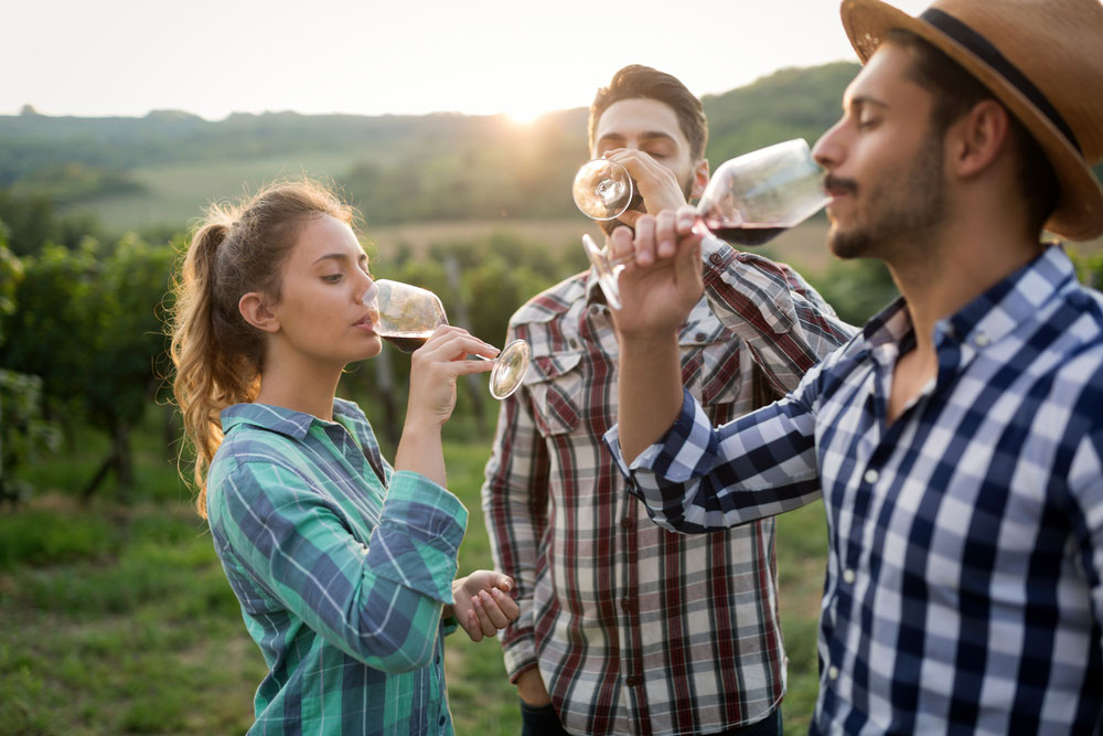 degustation-vin-jeune
