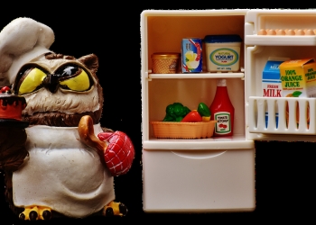 L’importance d’une chambre froide pour conserver tous les aliments