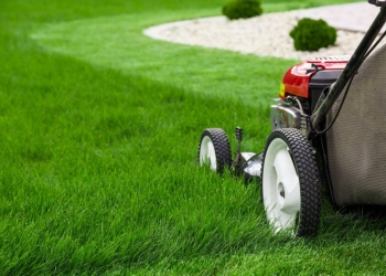 Tondeuse : toutes les courroies moteur conviennent-elles ?