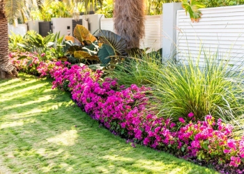 Donner une touche d&rsquo;exotisme à son jardin