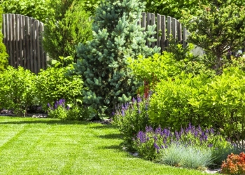Les travaux à réaliser vous-même dans le jardin