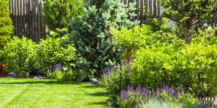 Les travaux à réaliser vous-même dans le jardin