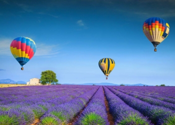 Vol en montgolfière : de nombreuses découvertes !