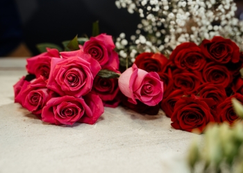 fleurs-roses