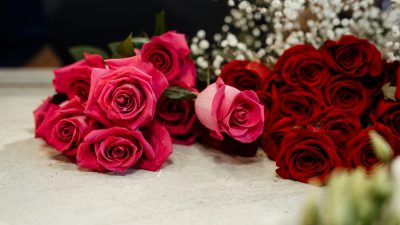 fleurs-roses