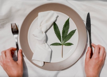 Les produits à base de CBD à manger