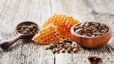 propolis